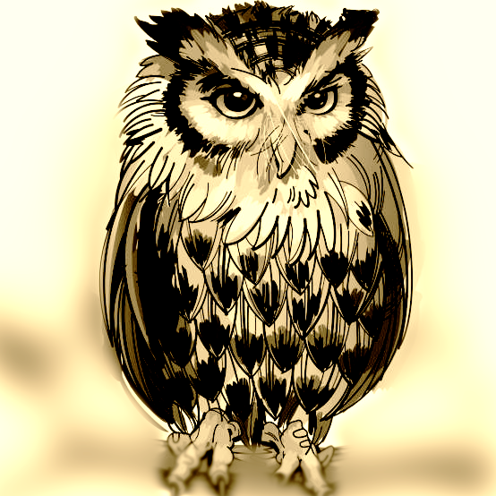 Logo temporaire - Hibou (grand)